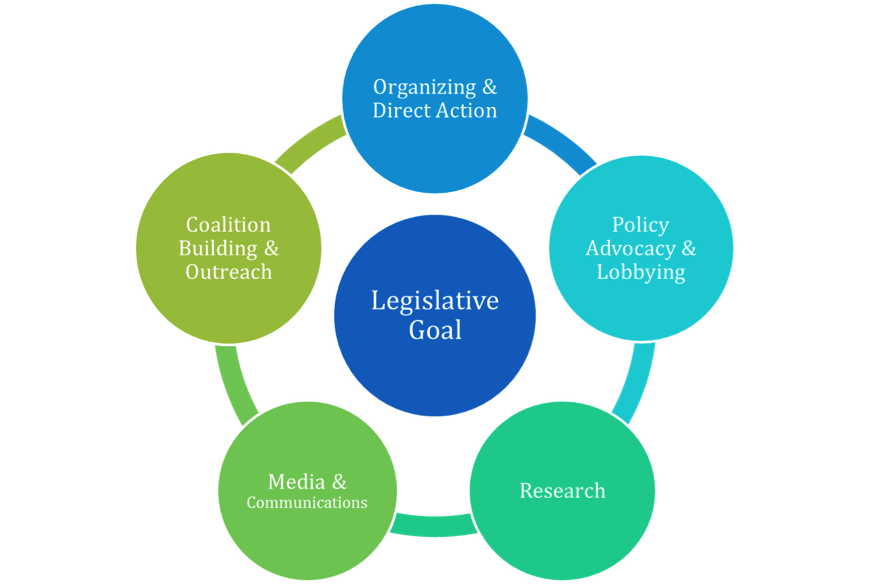 CFYJ Policy Campaign Model