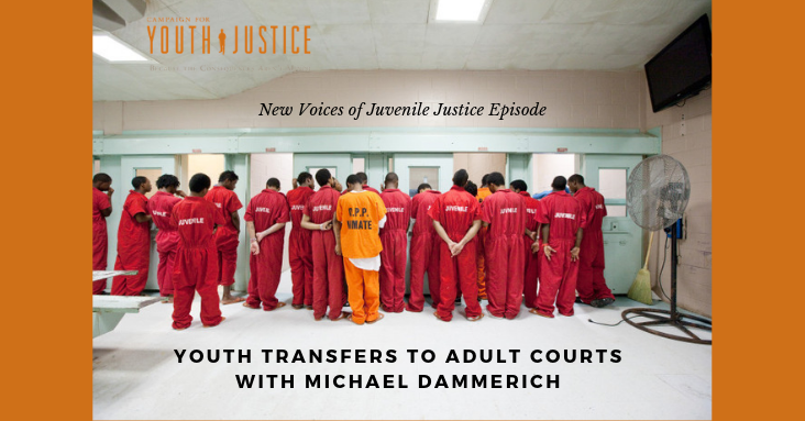 Youth Transfers to Adult Courts with Michael Dammerich