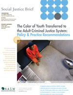 The Color of Youth Transferred to the Adult Criminal Justice System: Policy and Practice Recommendations