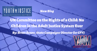 UN Committee on the Rights of the Child: No Children in the Adult Justice System Ever