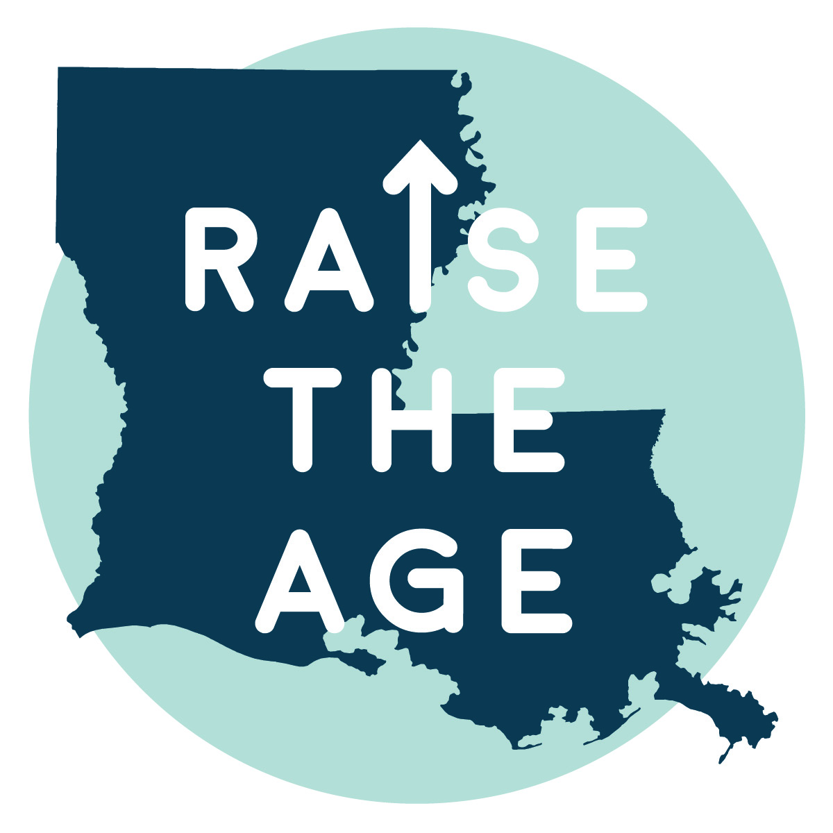 Raise the Age Logo 2