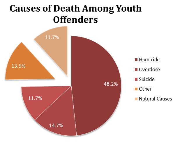 The causes of death among arrested, detained, incarcerated, or transferred youth.
