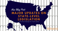 Major Updates on State-Level Legislation